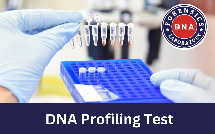 Get to Know the Uses & Applications of DNA Profiling Test