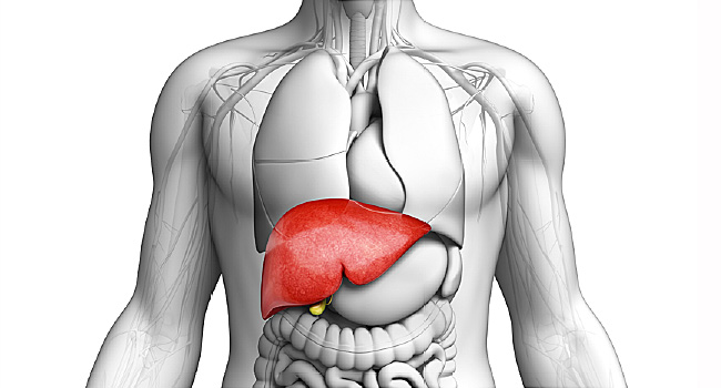 Liver Cancer Treatment in India | Healing Touristry