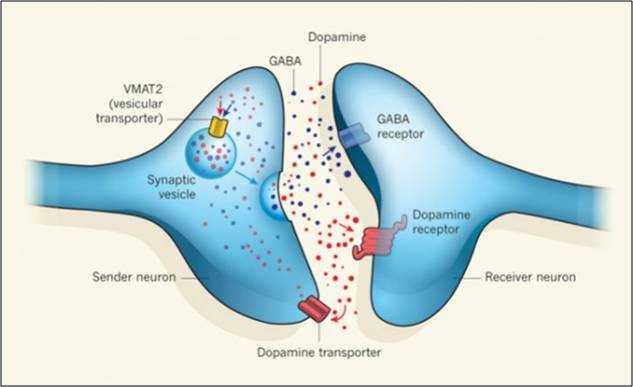 Epilepsy Treatment in India | Healing Touristry