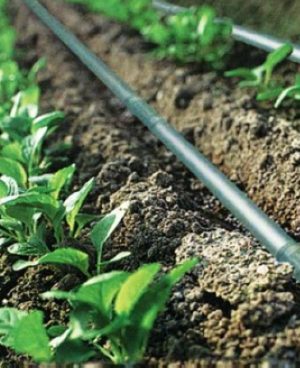 Datta Drip Irrigation Company | Datta Drip Irrigation | Bhusawal