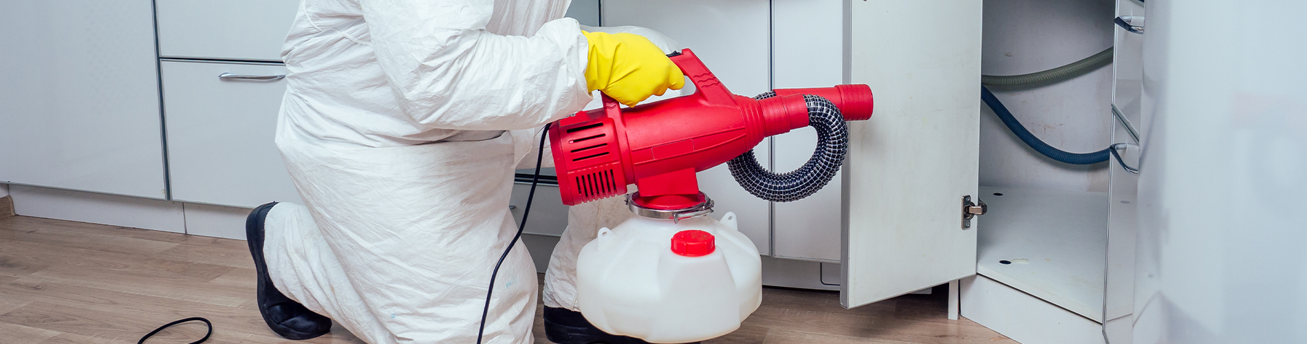 Commercial Pest Control Service Parma Oh