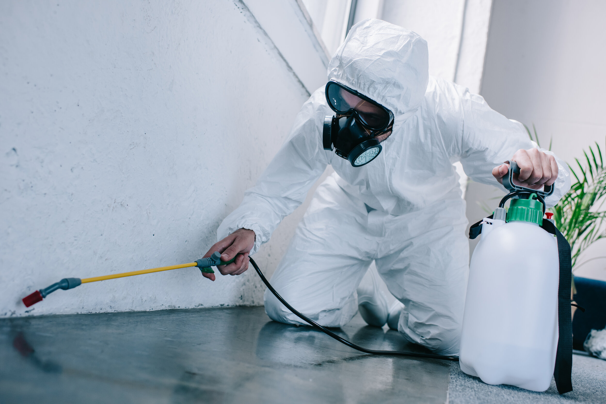 Commercial Pest Control Parma Oh