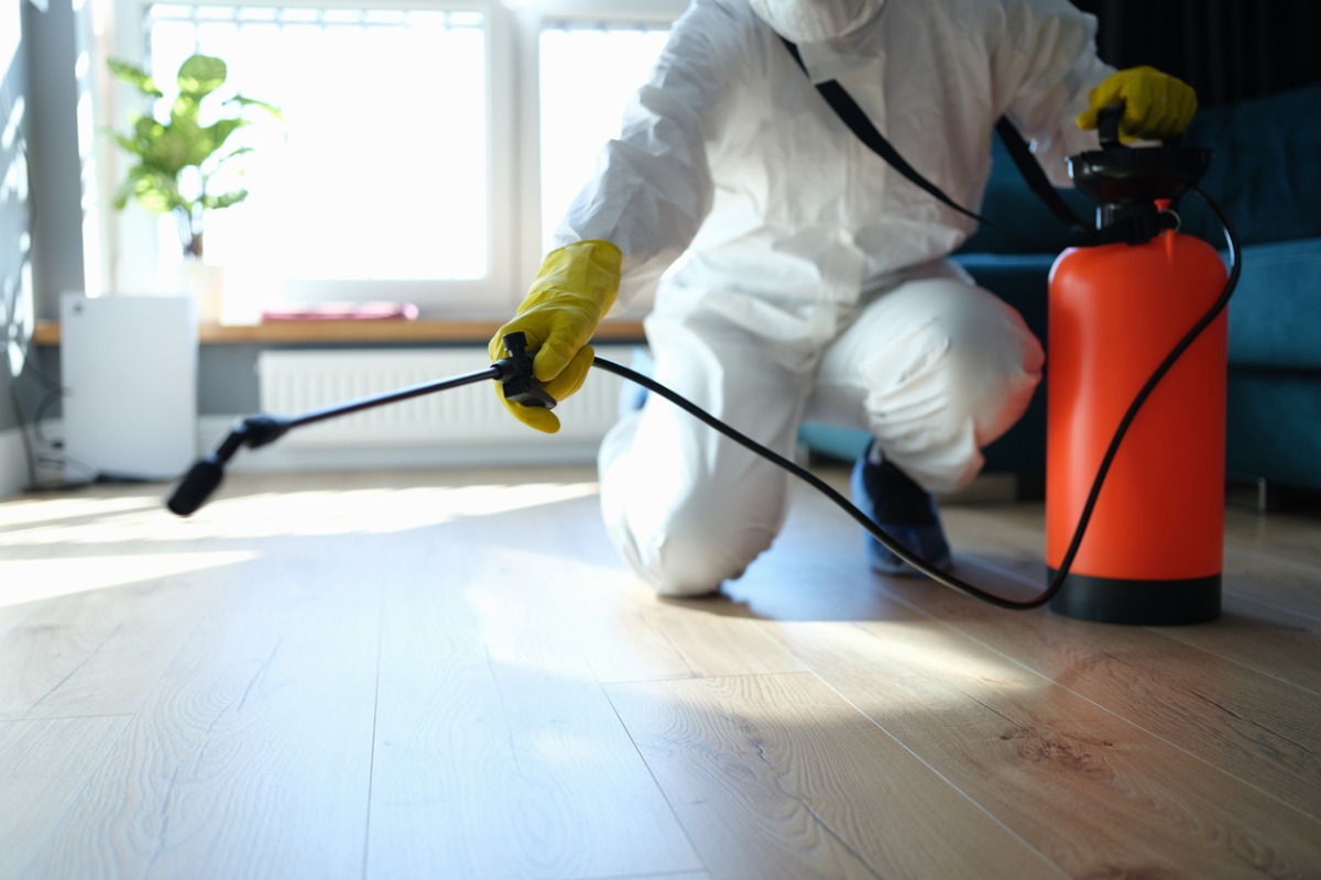 Commercial Pest Control Service Parma Oh