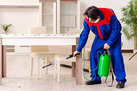 Commercial Pest Control Service Parma Oh