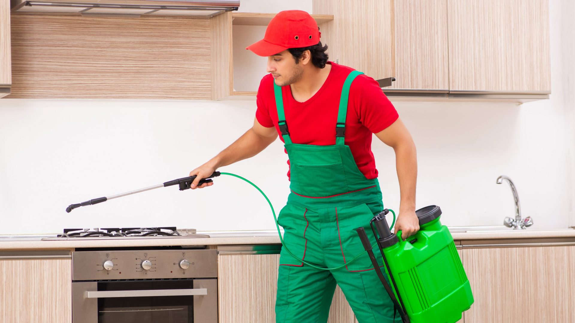 Commercial Pest Control Parma Oh