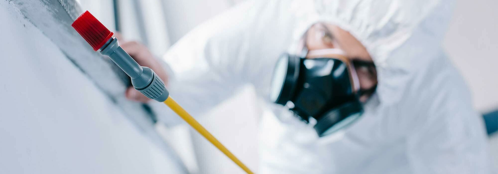 Pest Control Services Parma Oh