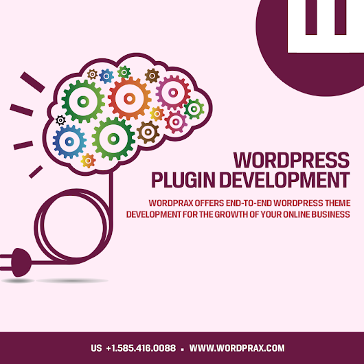 Wordpress Plugin Development Company