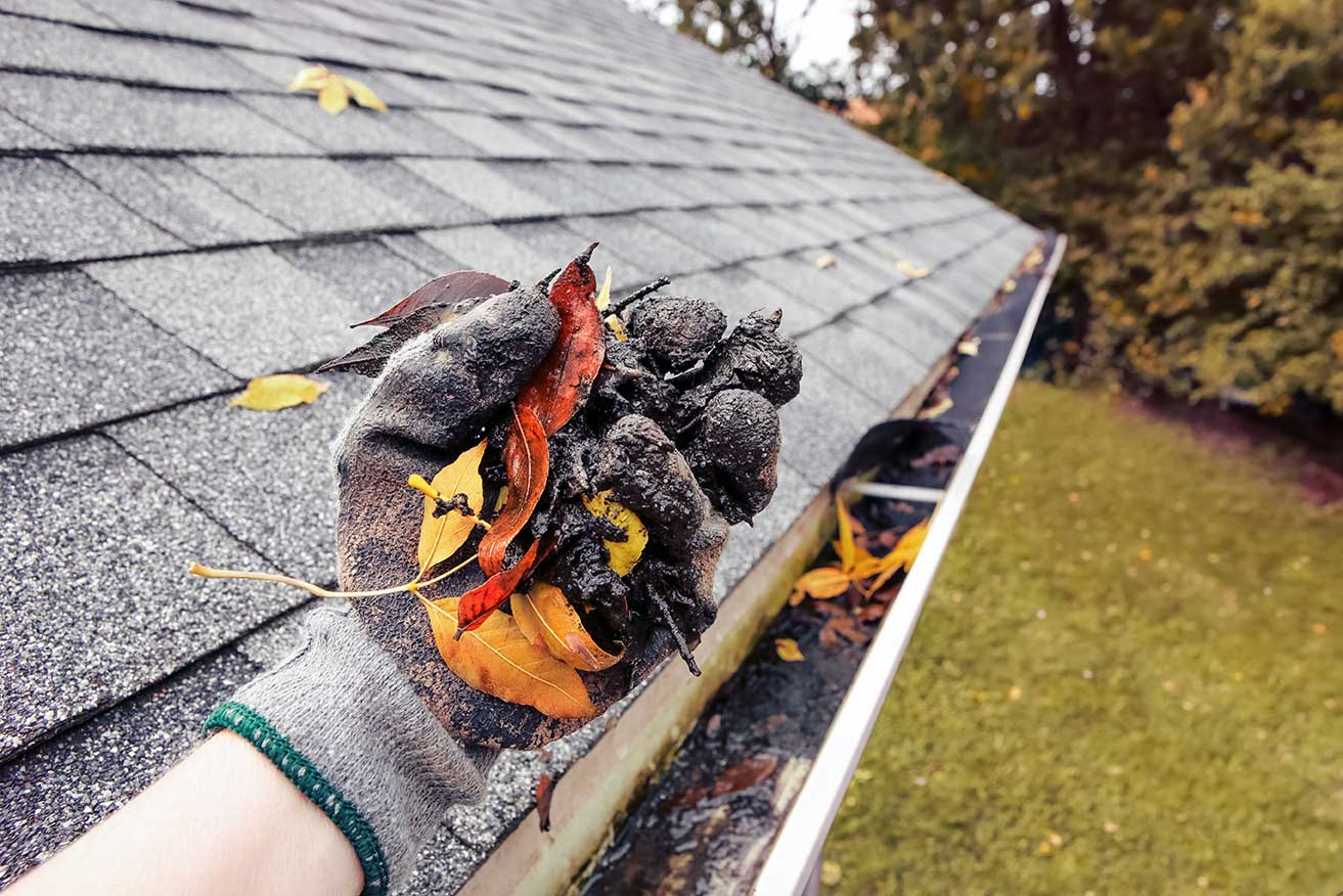 Gutter Cleaning in Saratoga,