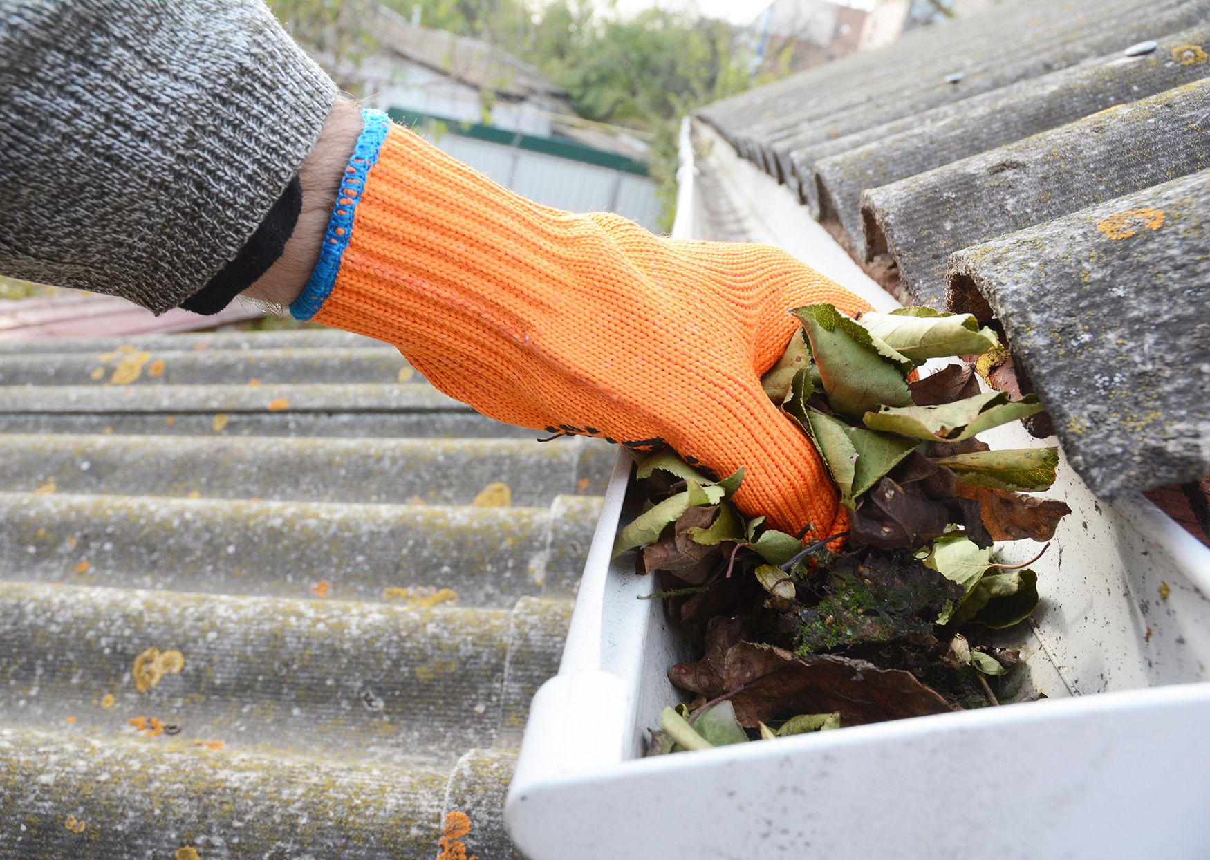Gutter Cleaning in Saratoga