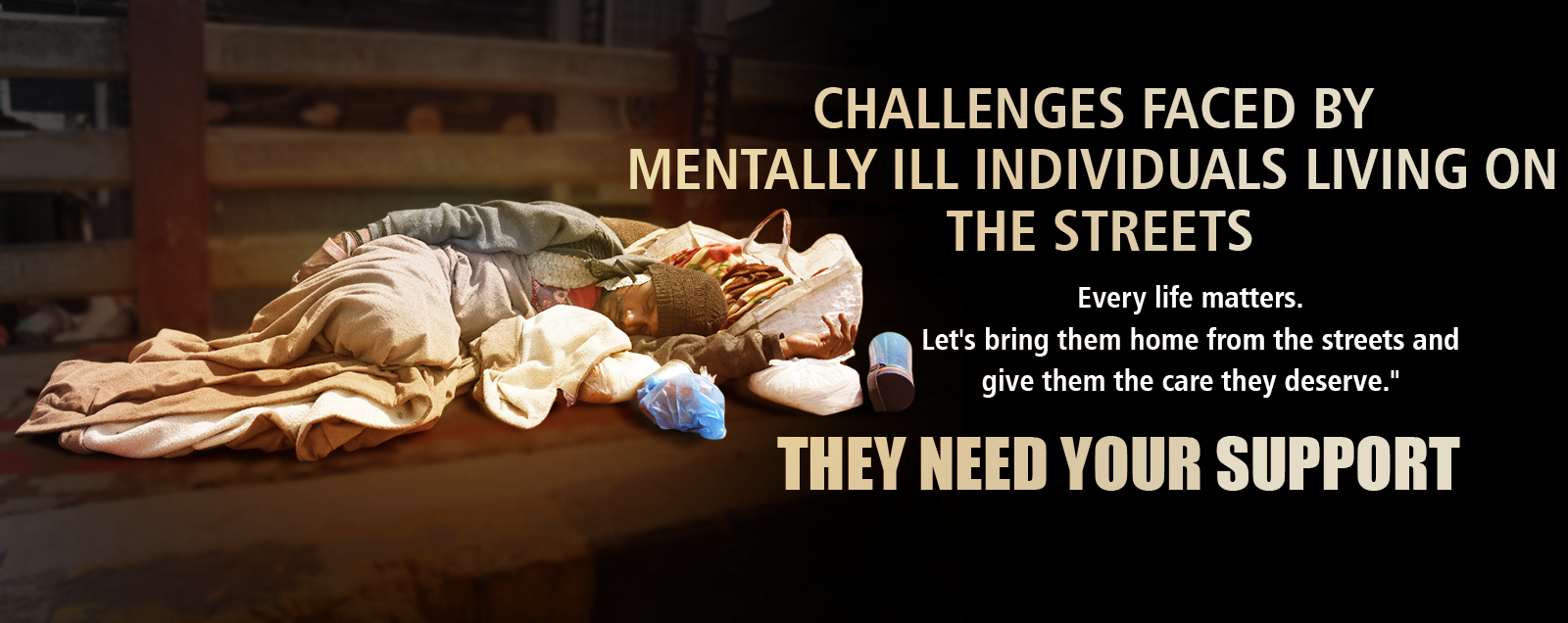 Challenges Faced by Mentally Ill Individuals Living on the Streets