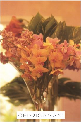 Professionals Florist Dubai