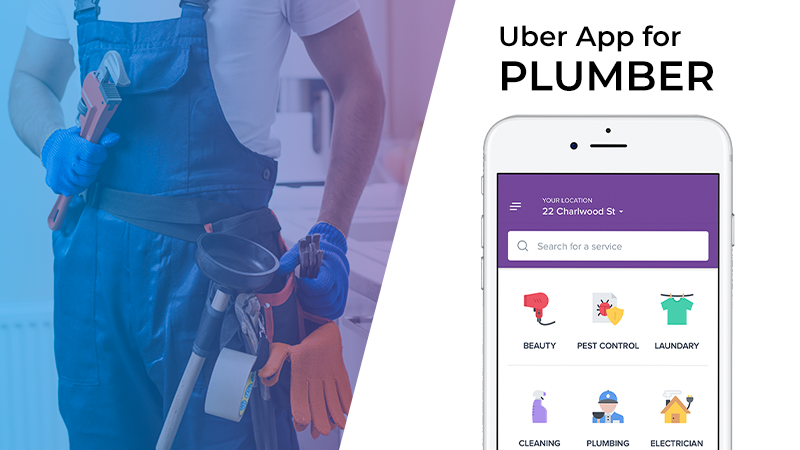 Which company provide me the script for plumbing app