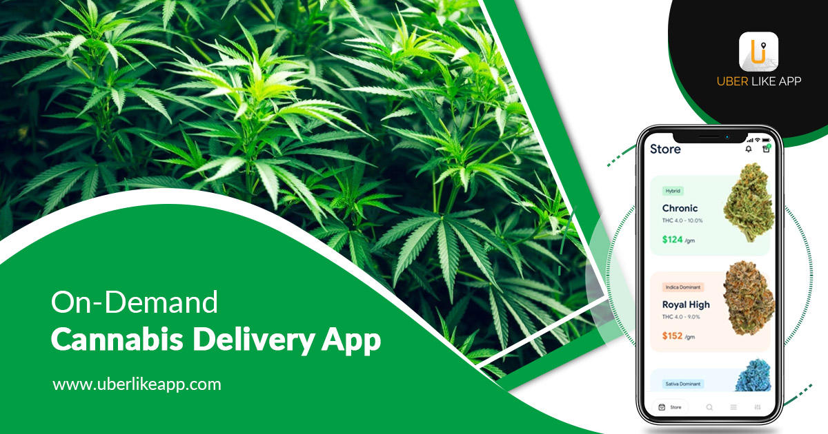 The ultimate guide to step into the cannabis delivery business.