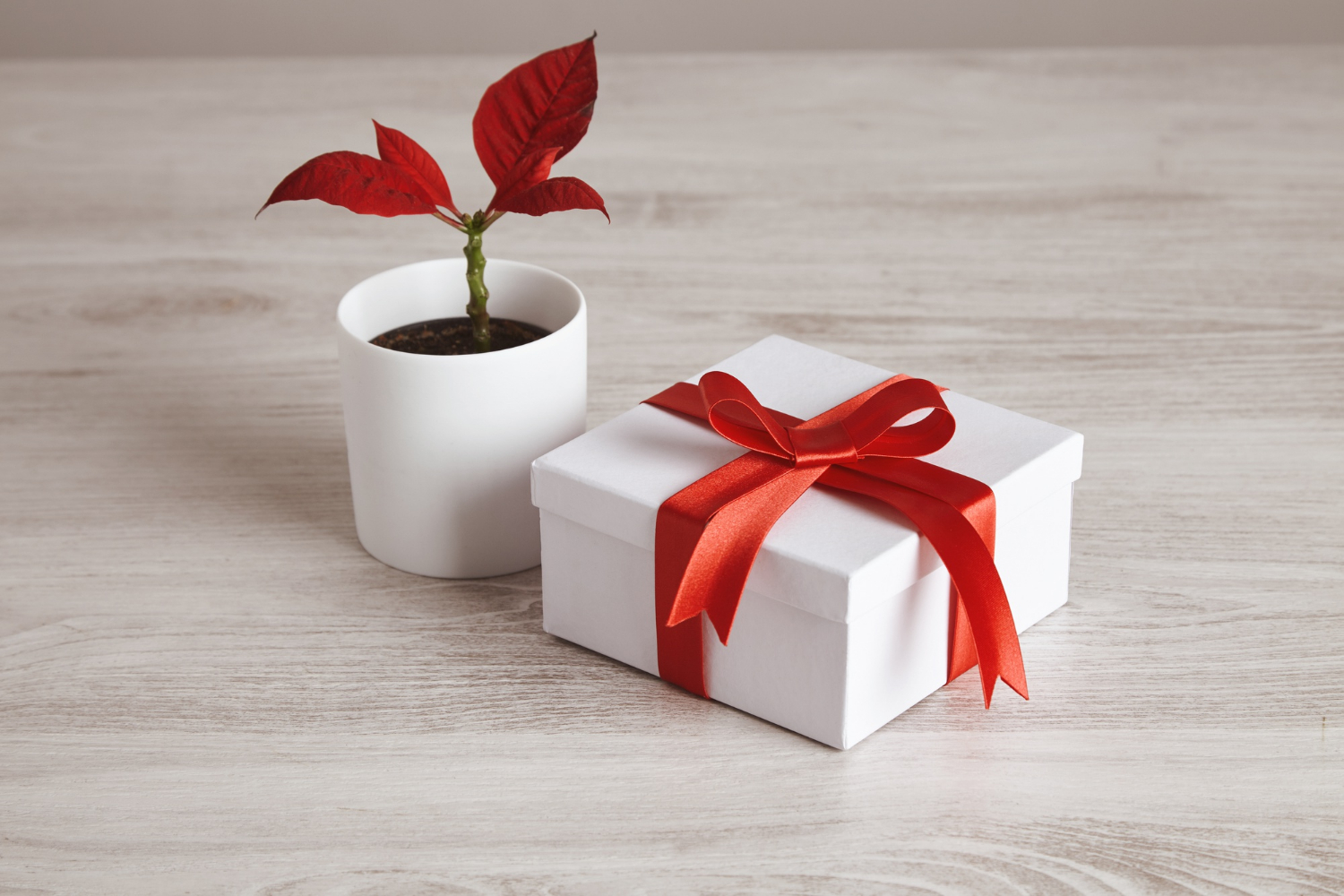 Eco-Friendly Corporate Gifts for Sustainable Business Relationships