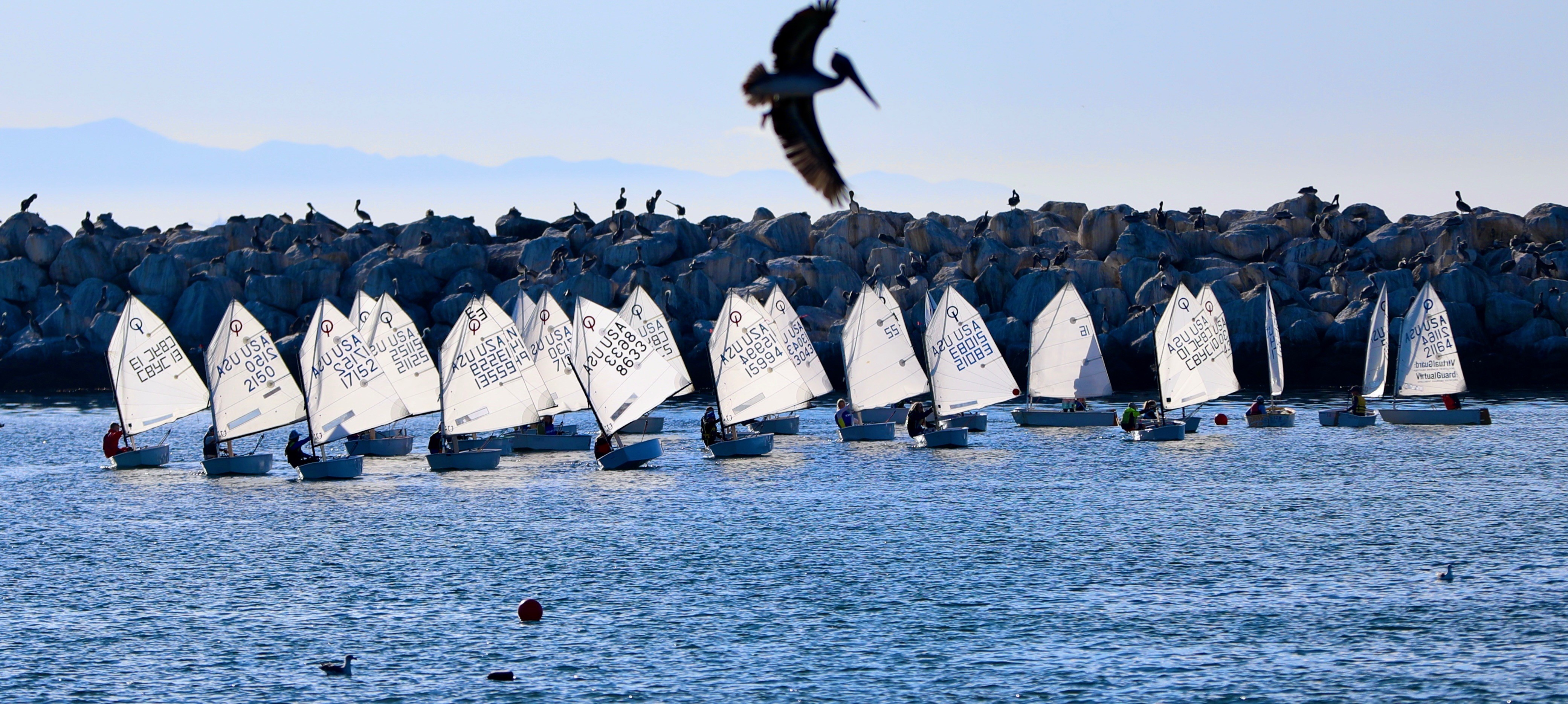 Exploring the Thrills of Sailing: Top Benefits of Sailing Classes in Los Angeles