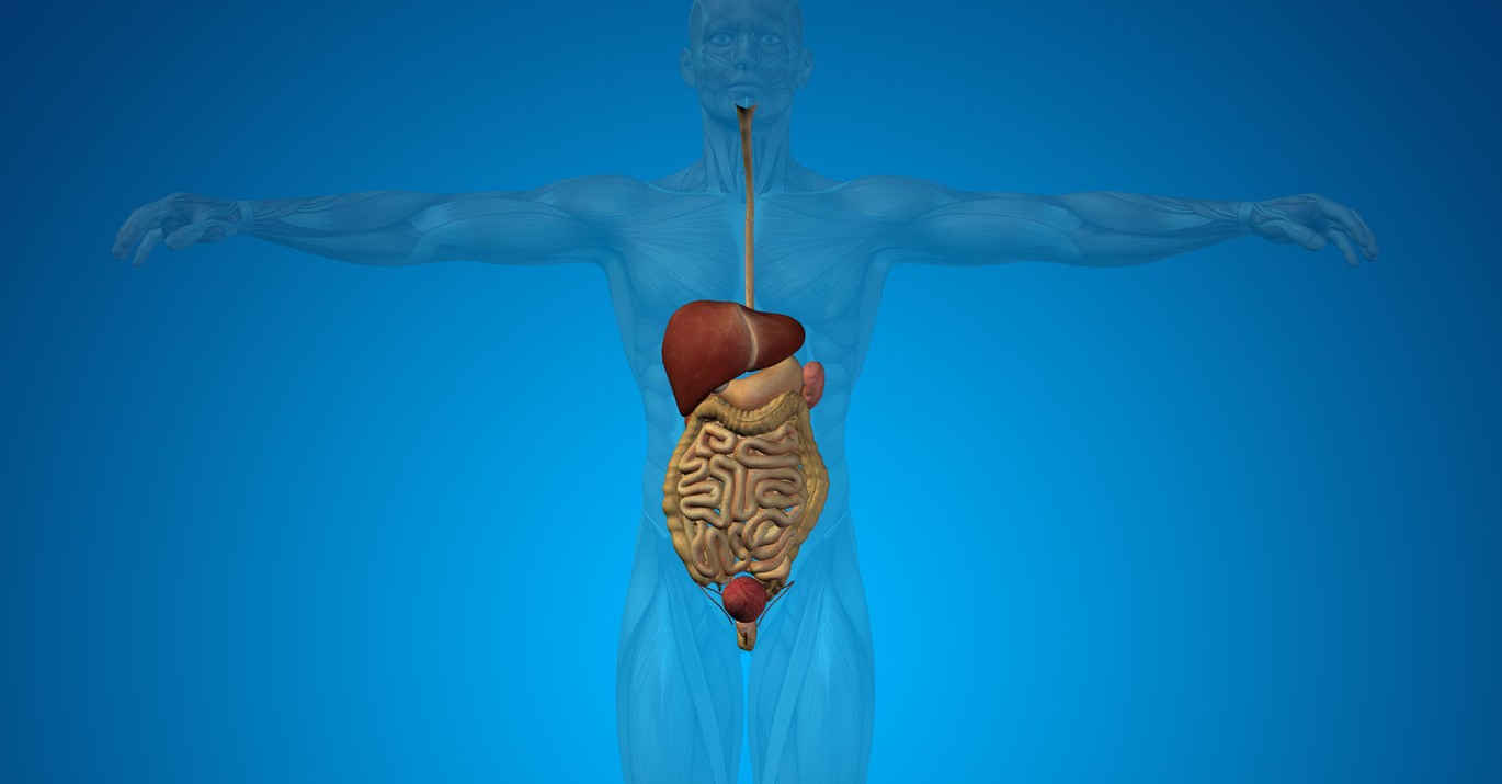 Jing Gastroenterology & Hepatology