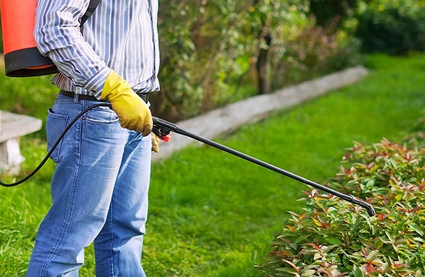 Weed Killer Guide