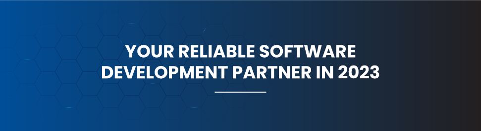WHY COMPANIES LOOK FOR A SOFTWARE DEVELOPMENT PARTNER