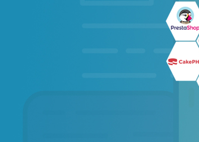 Highly Skilled and Experienced Open Source Development Team