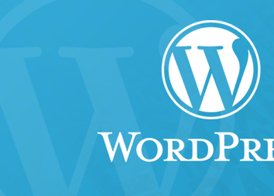 Hire Number One WordPress Development Company