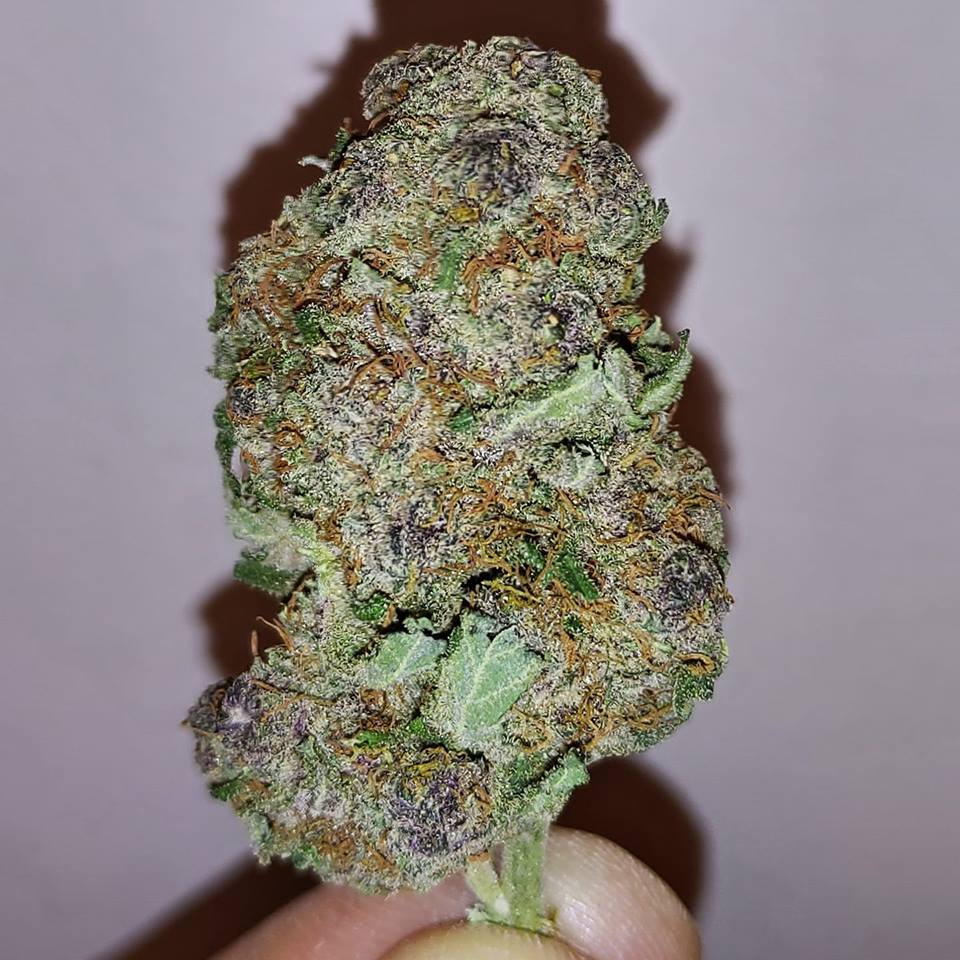 Best medical marijuana dispensary