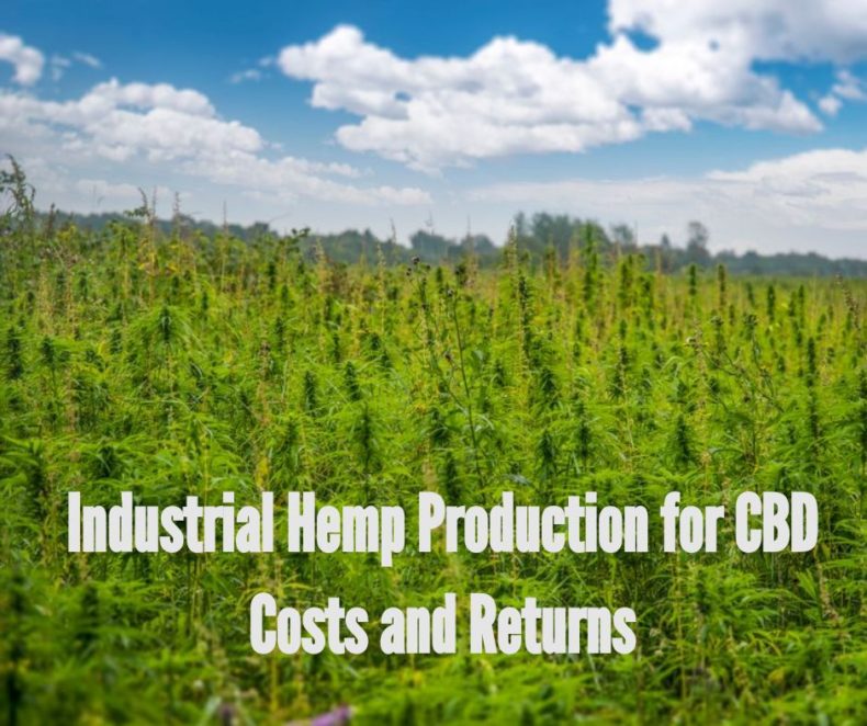 How much does it cost to grow hemp