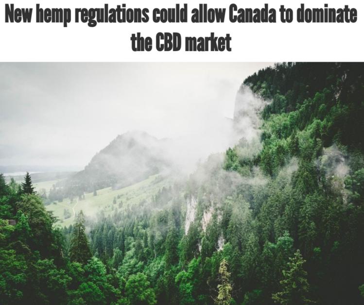 Latin America hemp CBD
