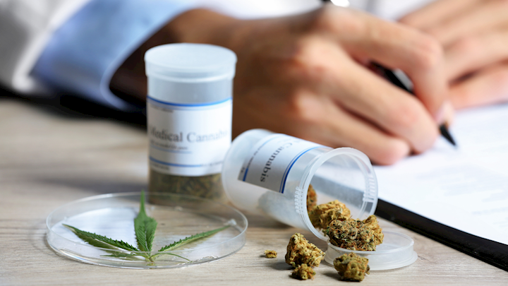 Best medical marijuana dispensary