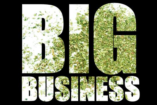 cannabis growing business
