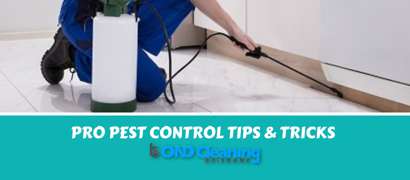 General Pest Control Tips & Tricks