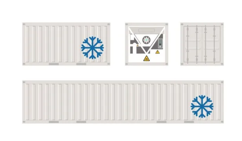 Refrigerated Shipping Containers: A Game Changer for Food Supply Chains