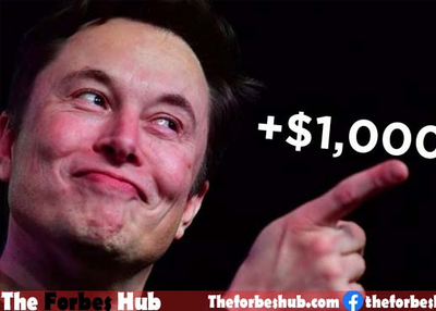 Elon ‘Treelon’ Musk Says He’ll Donate 1 Million Trees To #Teamtrees YouTube Project