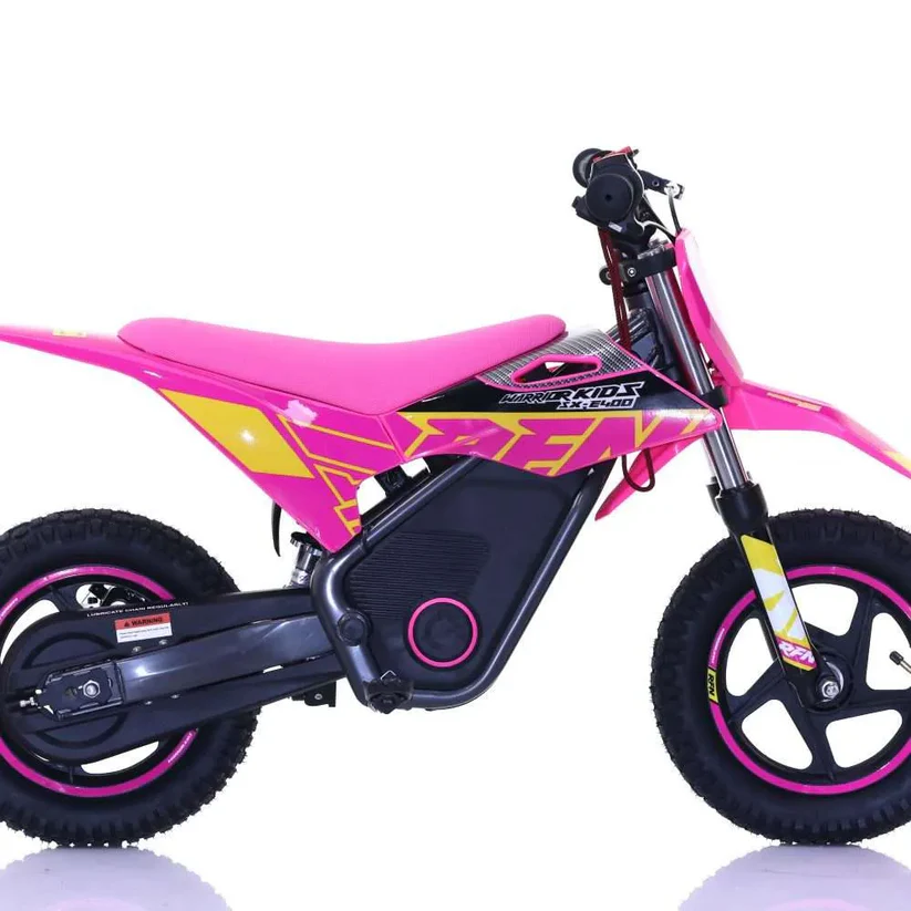 Are Renegade Kids Electric Quads Safe for Kids?