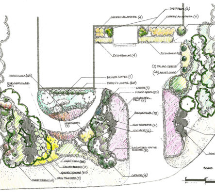 Landscape design miami