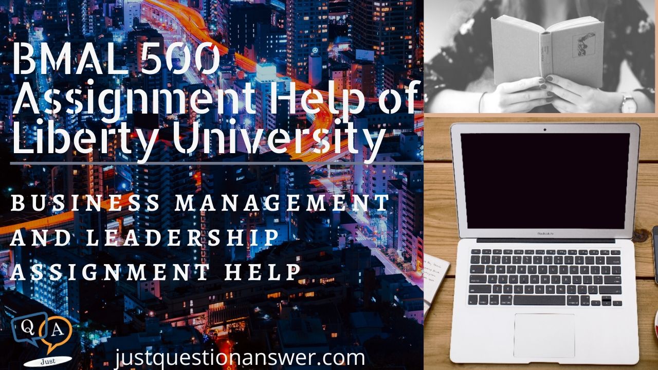 BMAL 500 Assignment Help | Liberty University