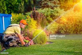 Pavels landscaping Houston