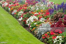 Landscape Maintenance Services Houston