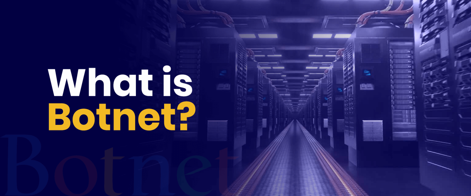 What is Botnet?