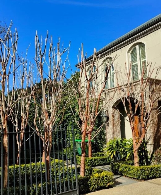 Creating Stunning Outdoor Spaces in Mentone with Natural Harmony Landscapes