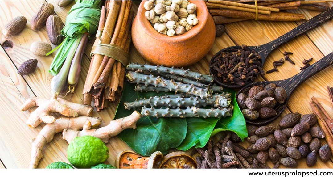 A Full Guide on Using Herbal Remedies to Fix Uterus Prolapse 