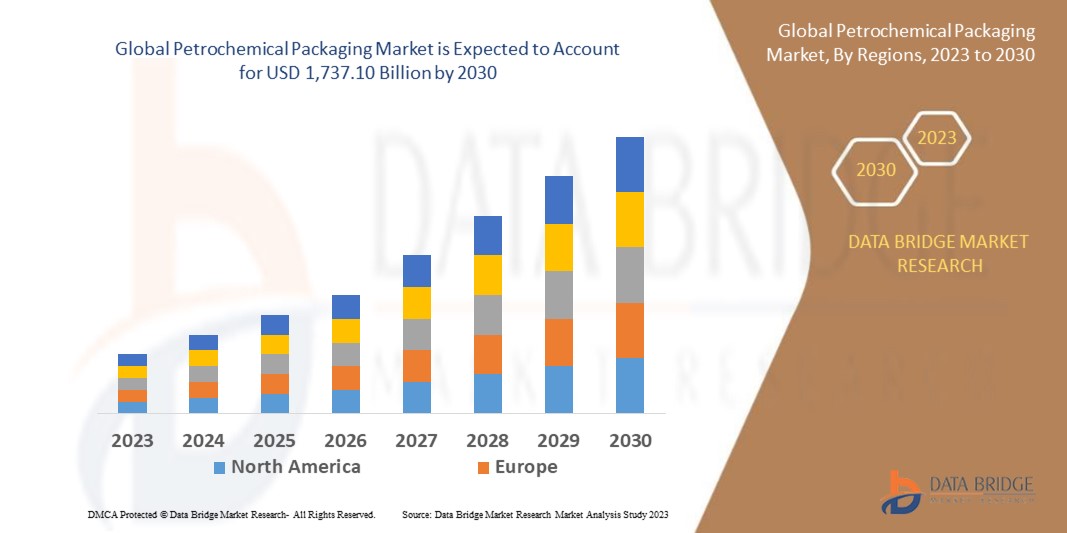 Petrochemical Packaging Market Trends, Share, Opportunities and Forecast By  2030