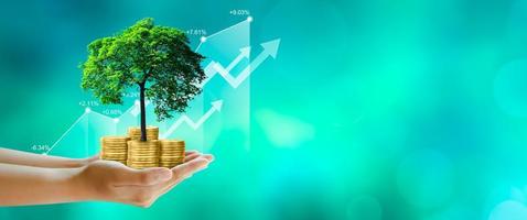 Business Growth with an Instant Business Expansion Loan