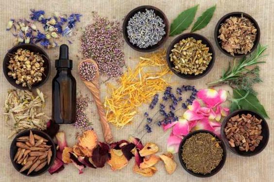 online herbal store in pakistan