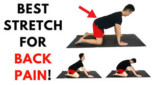 stretching for lower back pain