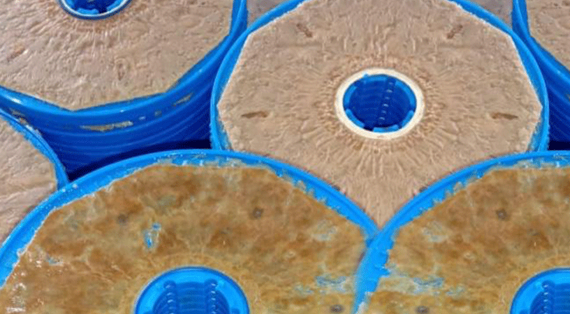 Membrane Fouling and How can you avoid it?