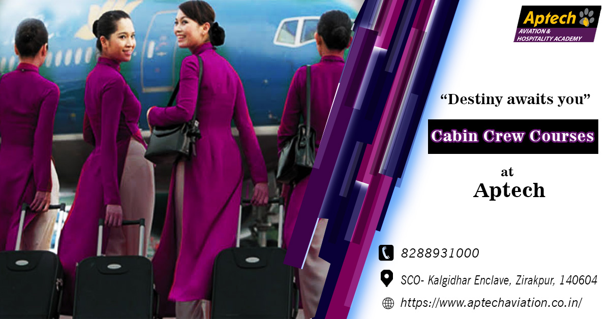 aviation training academy india