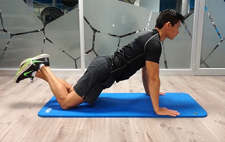 FREE-HAND GYM WORKOUT FOR BEGINNERS TO LOSE WEIGHT