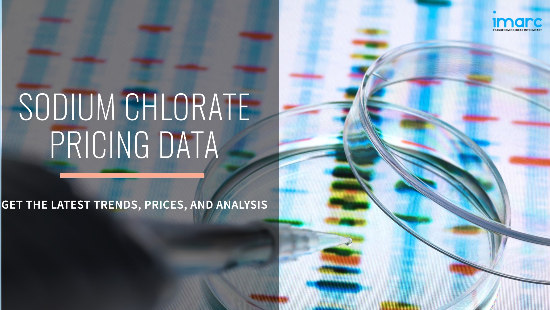 Sodium Chlorate Prices: Key Price Index 2025 & Forecast