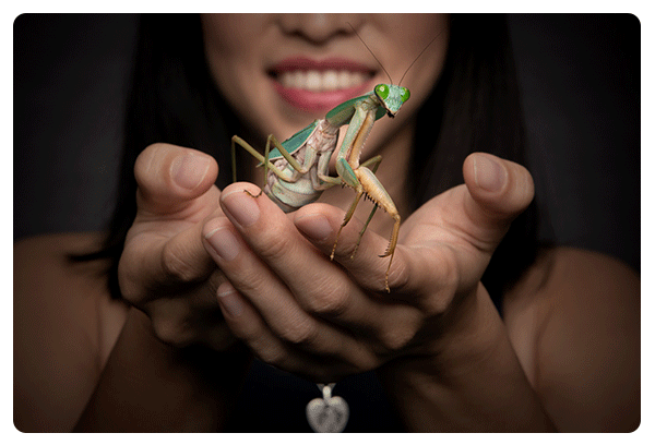 Capture the Pawsome Moments with Pet Photography in Singapore