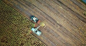 New to Pesticides? Here’s Why Thiamethoxam 25 WG Is a Great Place to Start
